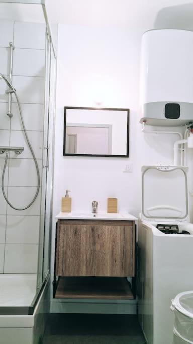 Le Cosy Central Moderne Et Chaleureux Saint-Etienne  Bagian luar foto