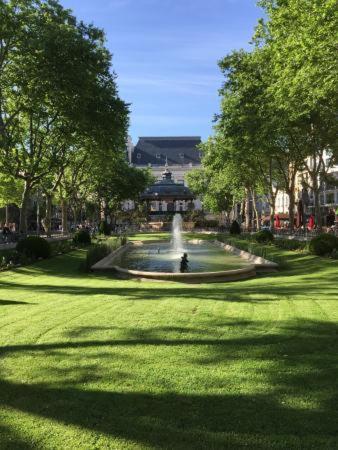Le Cosy Central Moderne Et Chaleureux Saint-Etienne  Bagian luar foto